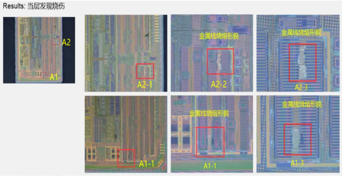 在芯片晶圓M1層可見燒熔點，而芯片其他部位均無形貌異常